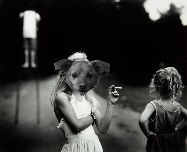 Цей бездомний песик став зіркою Vogue завдяки Аріані Гранде - фото 340236