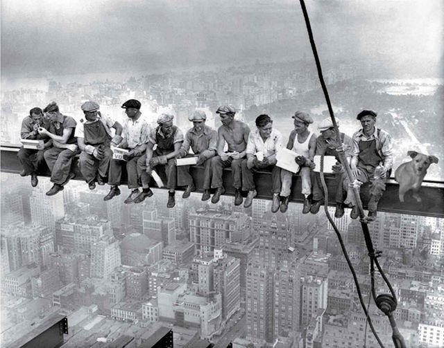 Цей бездомний песик став зіркою Vogue завдяки Аріані Гранде - фото 340238