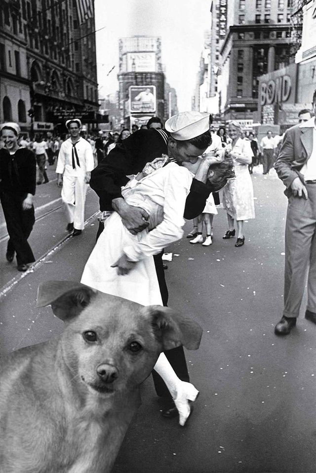 Цей бездомний песик став зіркою Vogue завдяки Аріані Гранде - фото 340242