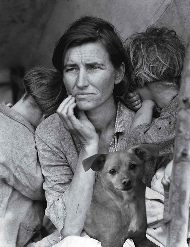 Цей бездомний песик став зіркою Vogue завдяки Аріані Гранде - фото 340243