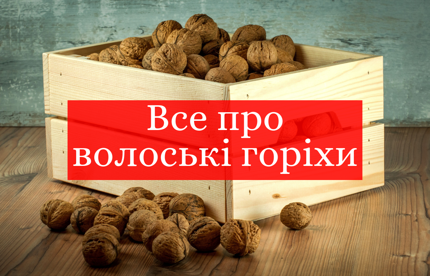 Цікаві факти про волоські горіхи: калорійність, користь і шкода