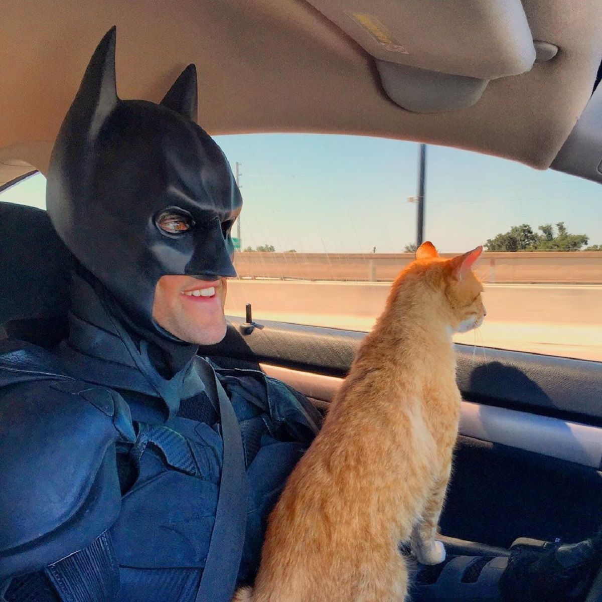 Супергерої поряд: у США Бетмен рятує бездомних тварин