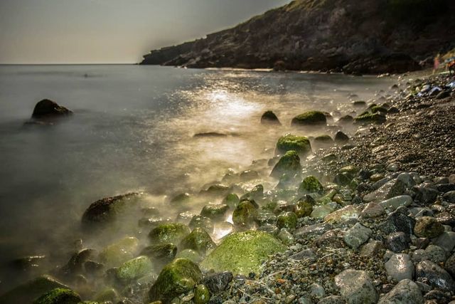 Острів Зміїний у Чорному морі: як доїхати у найчистіший куточок України - фото 340867