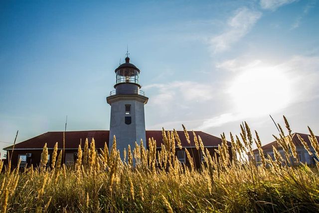 Острів Зміїний у Чорному морі: як доїхати у найчистіший куточок України - фото 340870