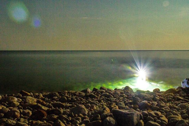 Острів Зміїний у Чорному морі: як доїхати у найчистіший куточок України - фото 340872