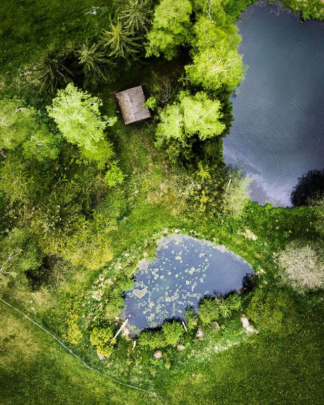 @hardingmicha - Austria - фото 340987