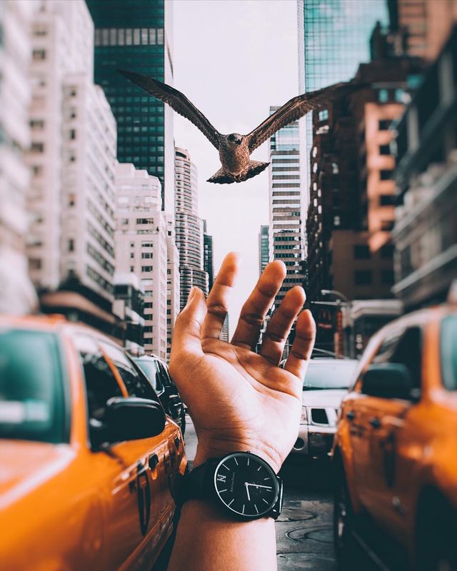 Фотографії світу на межі з реальністю, які змушують затримати погляд - фото 341241