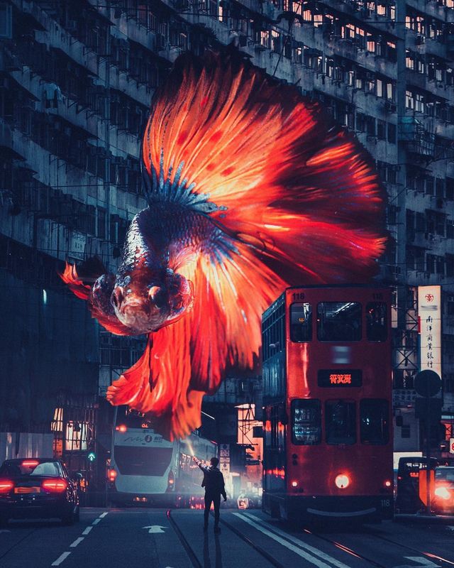 Фотографії світу на межі з реальністю, які змушують затримати погляд - фото 341258