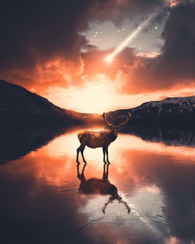 Фотографії світу на межі з реальністю, які змушують затримати погляд - фото 341261