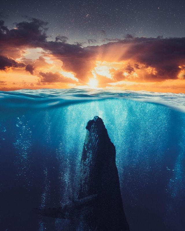 Фотографії світу на межі з реальністю, які змушують затримати погляд - фото 341262