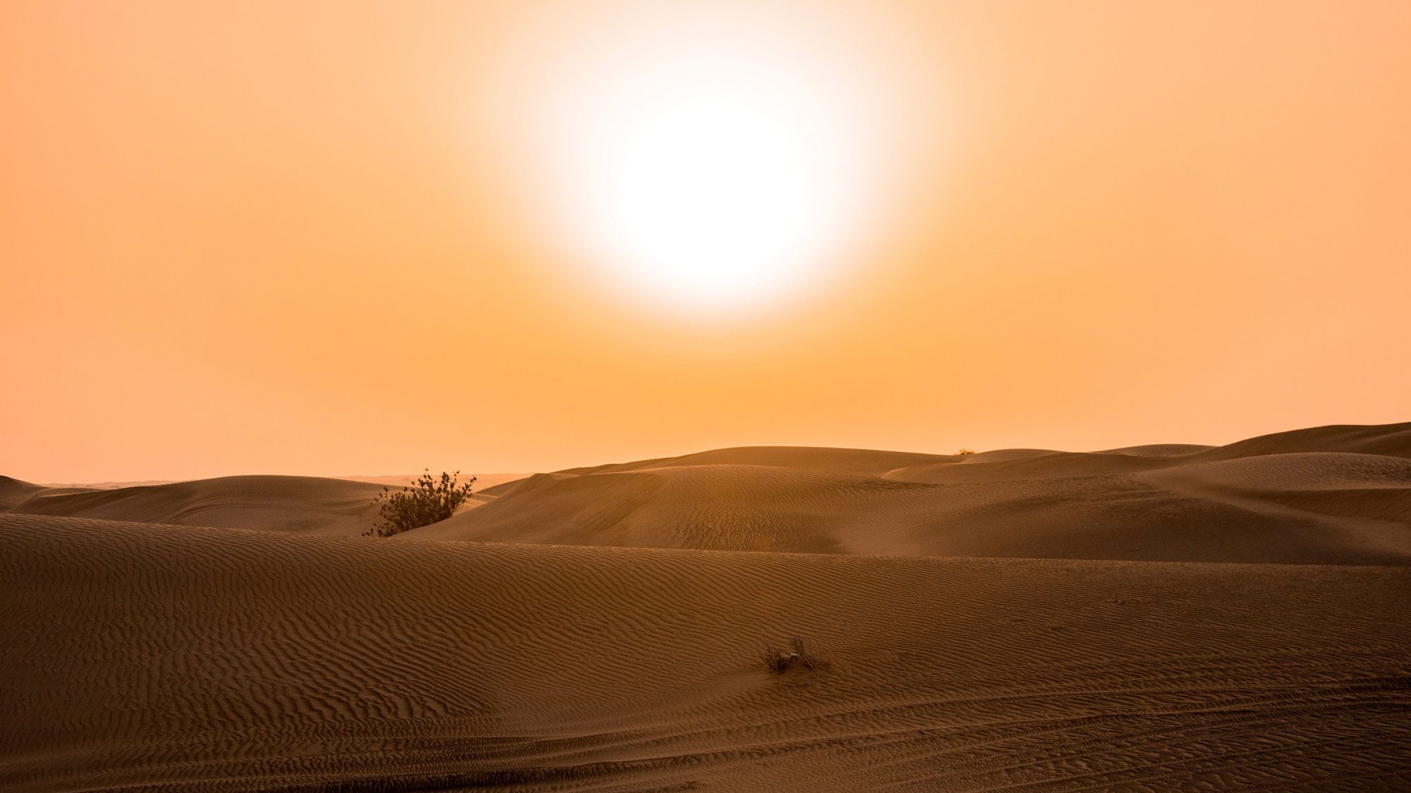 Червень став найспекотнішим у світі - фото 1