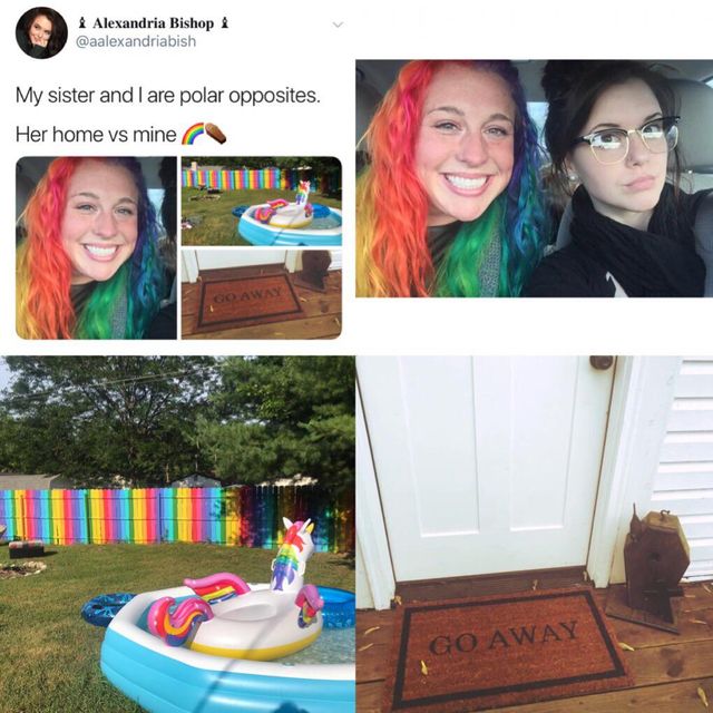 Зовсім різні сестри стали зірками мережі: фото - фото 341933