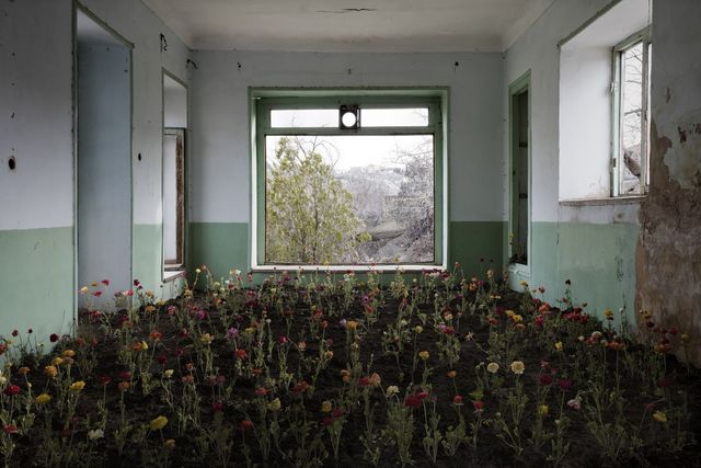 Природа забирає своє: вражаючі фото занедбаних споруд столиці Ірану - фото 342355