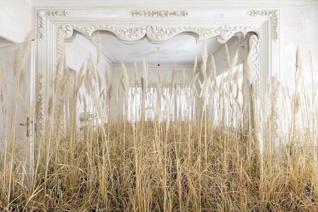 Природа забирає своє: вражаючі фото занедбаних споруд столиці Ірану - фото 342356