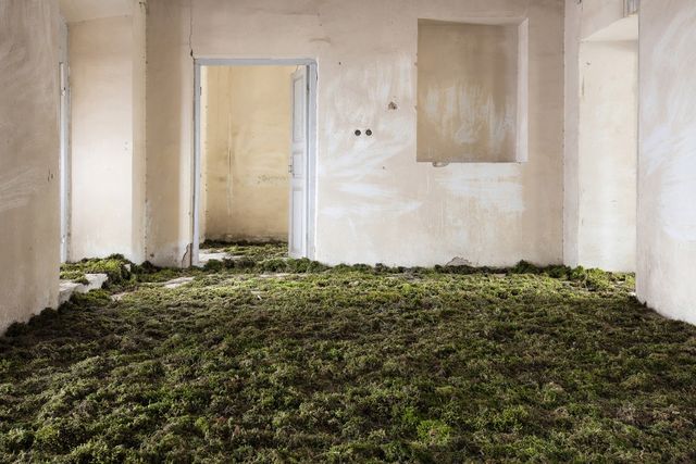 Природа забирає своє: вражаючі фото занедбаних споруд столиці Ірану - фото 342357