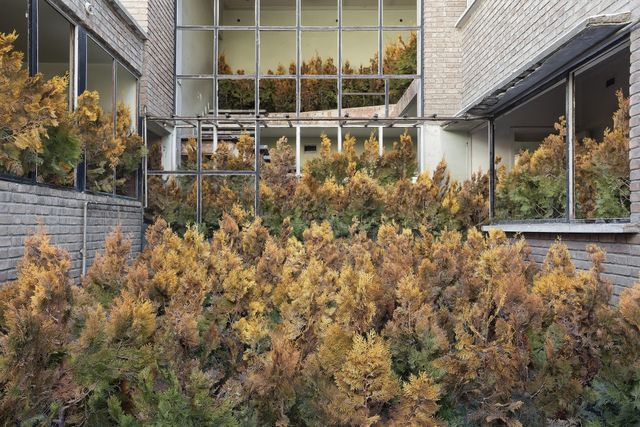 Природа забирає своє: вражаючі фото занедбаних споруд столиці Ірану - фото 342359