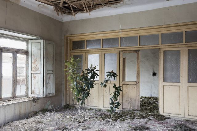 Природа забирає своє: вражаючі фото занедбаних споруд столиці Ірану - фото 342361