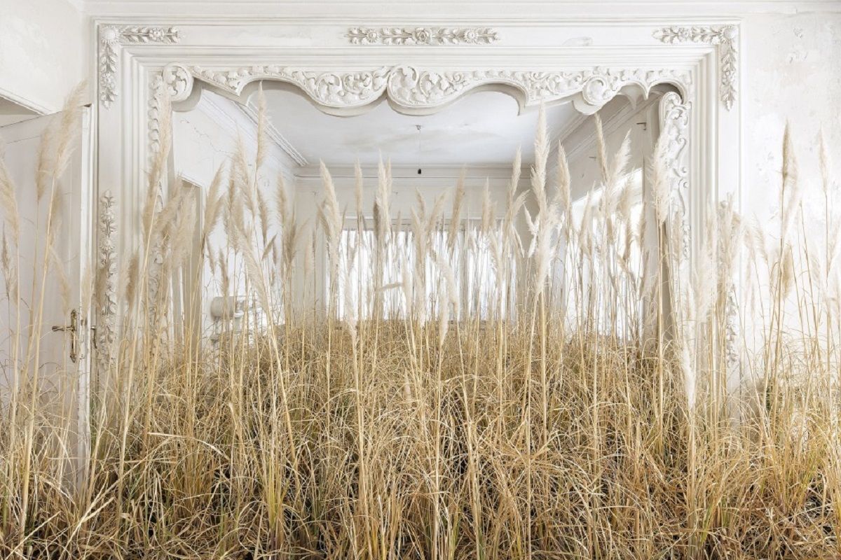 Природа забирає своє: вражаючі фото занедбаних споруд столиці Ірану