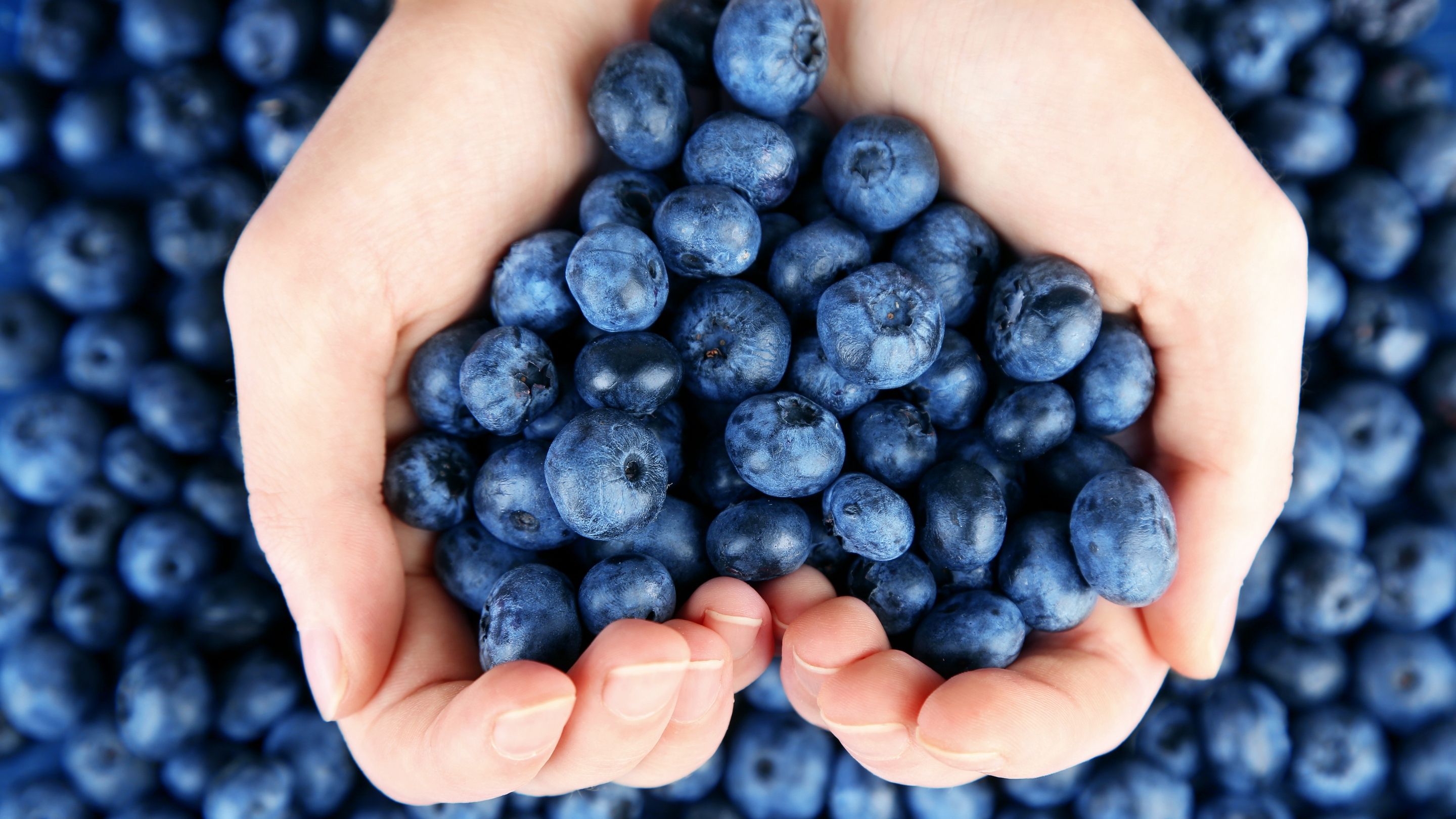 Скільки можна зберігати чорницю - фото 1