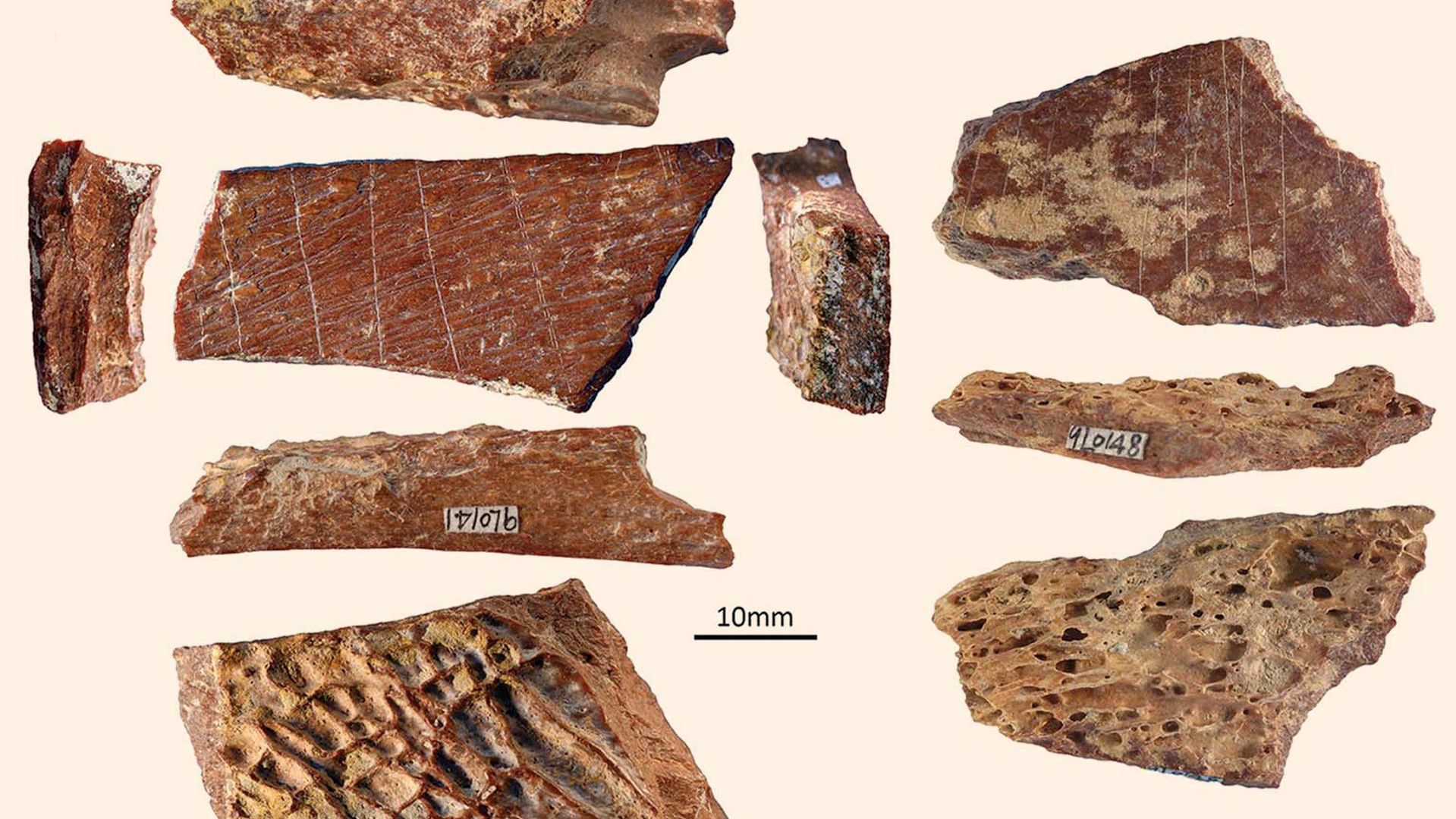 У Китаї знайшли малюнок віком 115 тисяч років