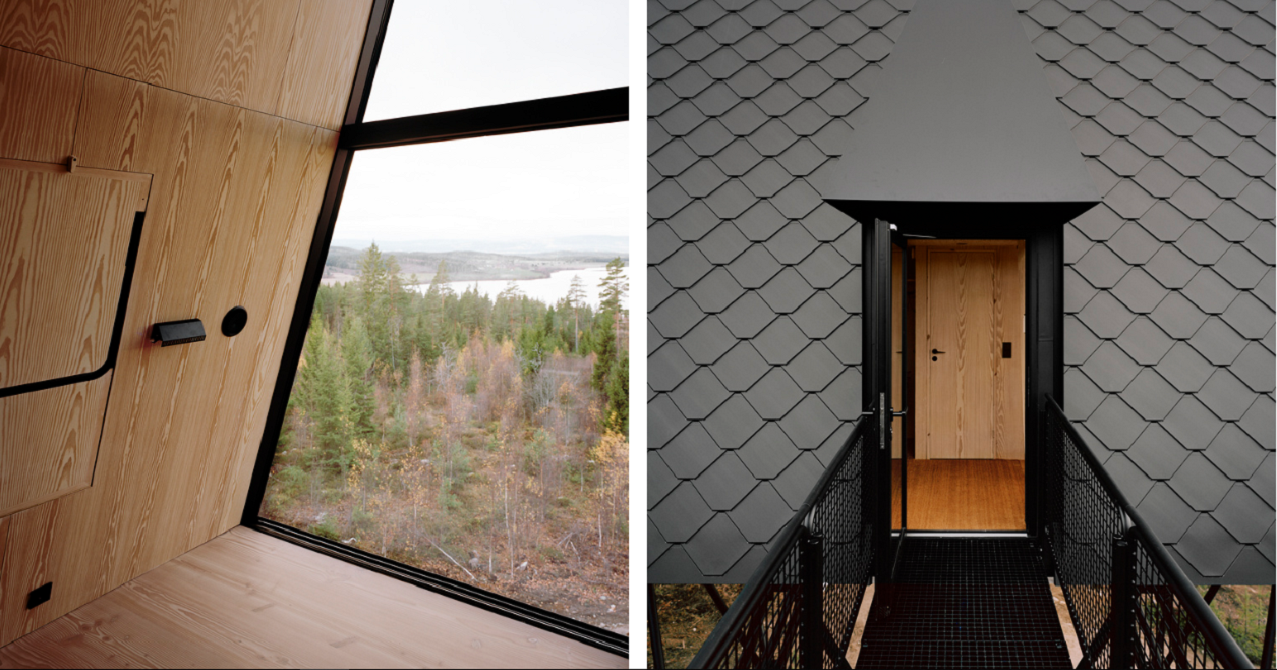 Дім посеред лісу в Норвегії - фото 1