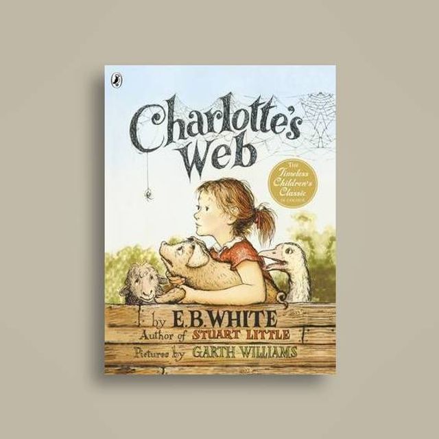 Від 51 до 100: книги, які потрібно прочитати у різному віці (Частина 2) - фото 342892