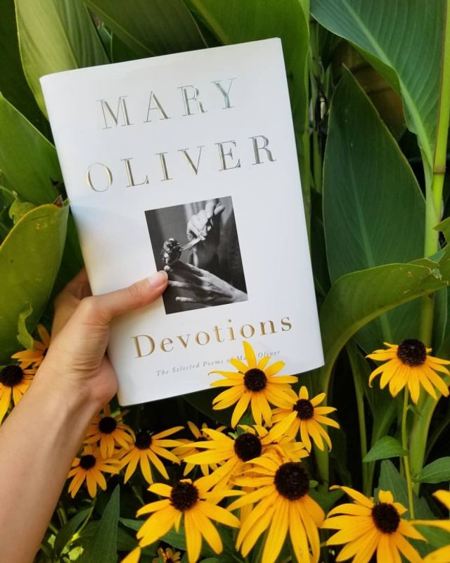 Від 51 до 100: книги, які потрібно прочитати у різному віці (Частина 2) - фото 342917