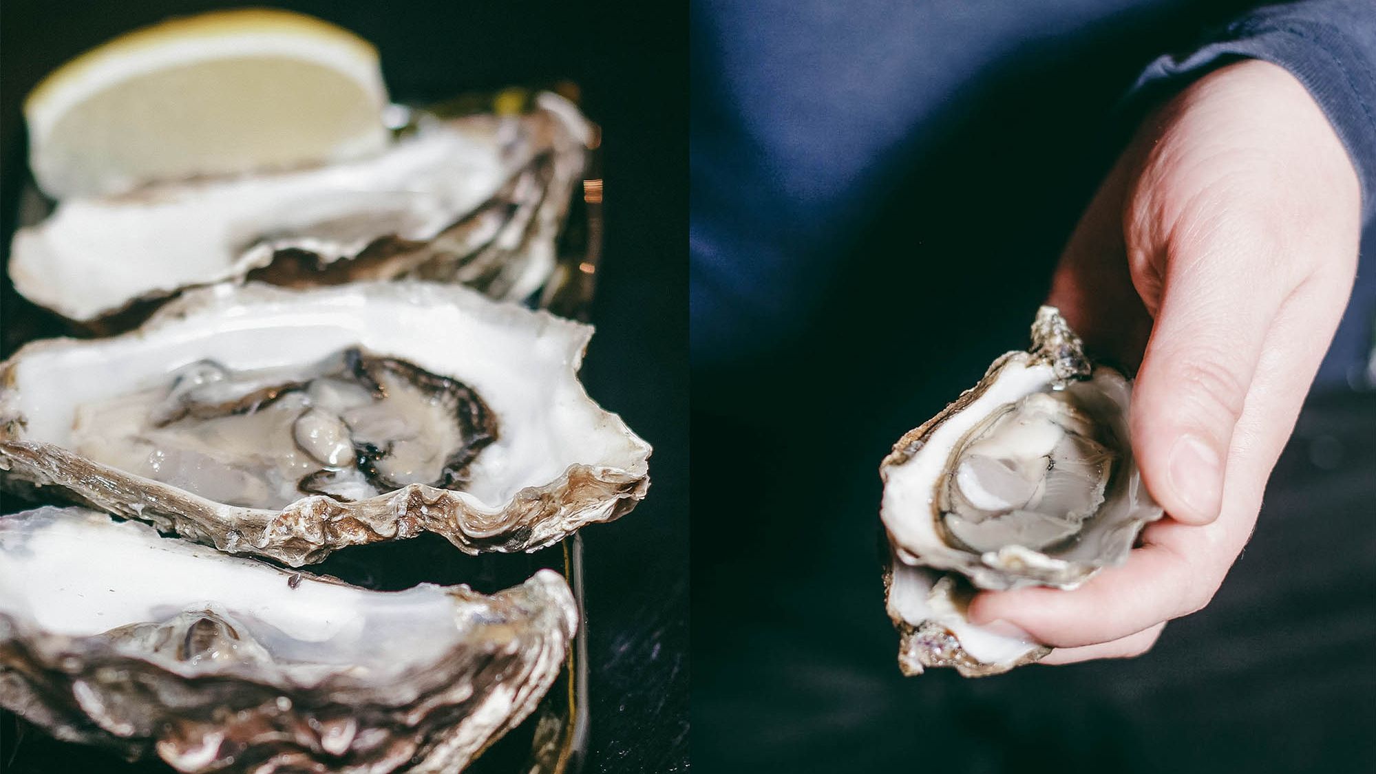 Як у США вирощують устриць: цікаві фото