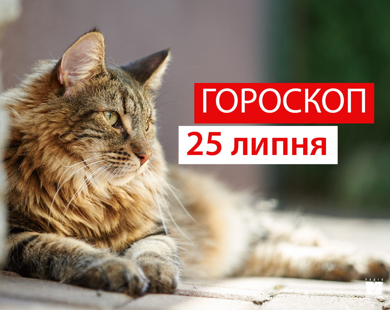 Гороскоп на 25 липня 2019: Леви та Діви нарешті приділять час собі