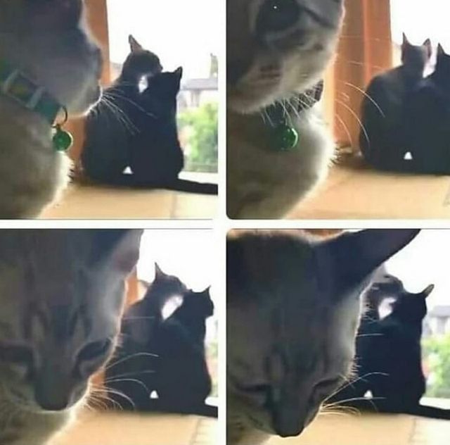 Все життя в одному фото: 10 знайомих до сліз ситуацій, у які потрапляв кожен - фото 343295