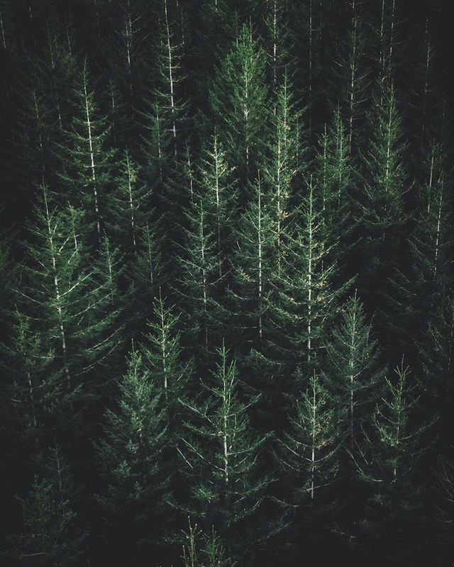 Час мандрувати! Молодий француз показує захопливий світ - фото 343301