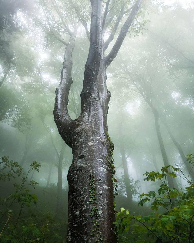 Подорож Швейцарією у різні пори року: захопливі фото - фото 343390