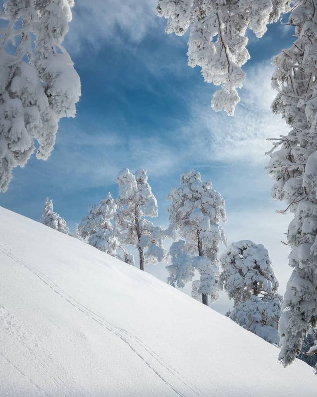 Подорож Швейцарією у різні пори року: захопливі фото - фото 343391