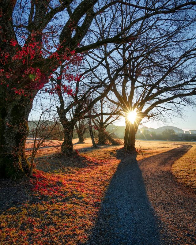 Подорож Швейцарією у різні пори року: захопливі фото - фото 343392