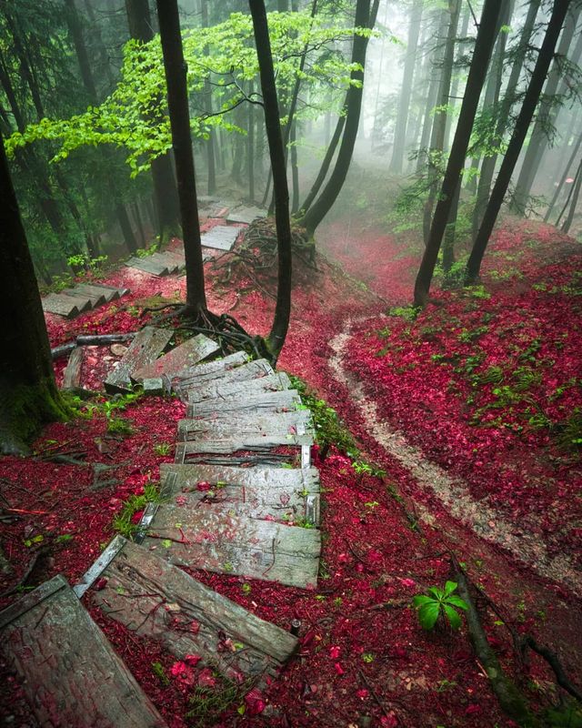 Подорож Швейцарією у різні пори року: захопливі фото - фото 343395