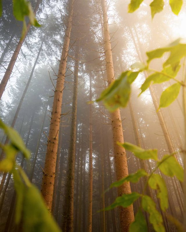 Подорож Швейцарією у різні пори року: захопливі фото - фото 343397