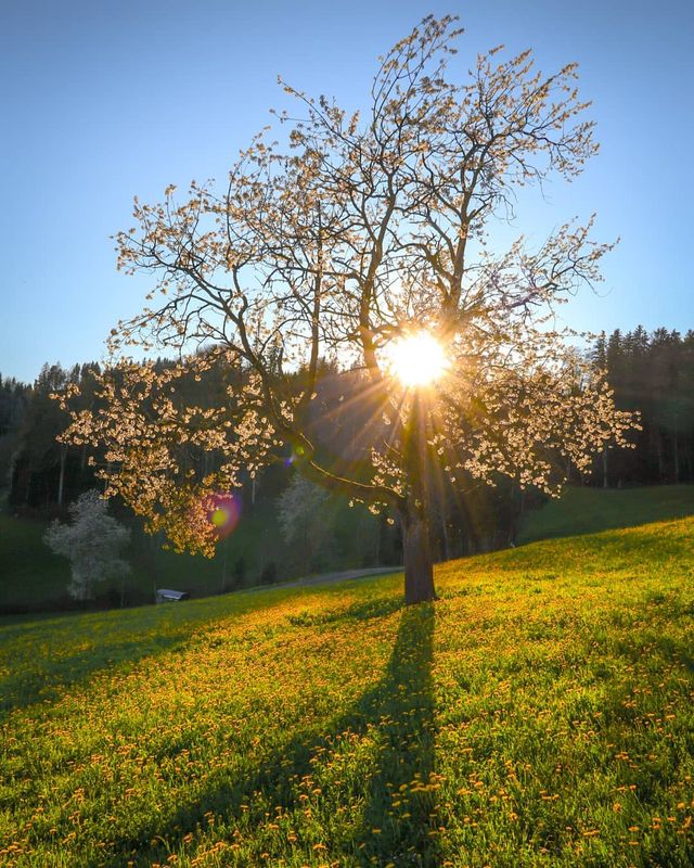 Подорож Швейцарією у різні пори року: захопливі фото - фото 343400