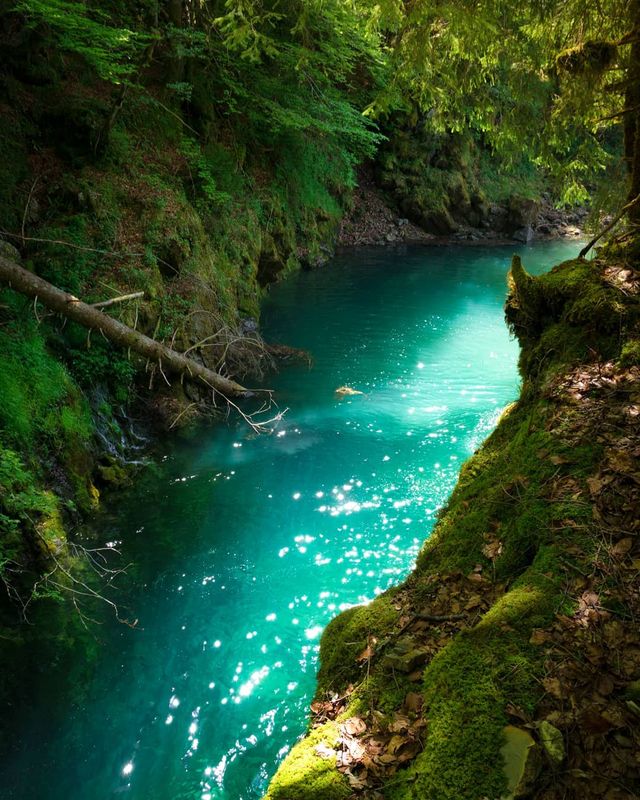 Подорож Швейцарією у різні пори року: захопливі фото - фото 343405