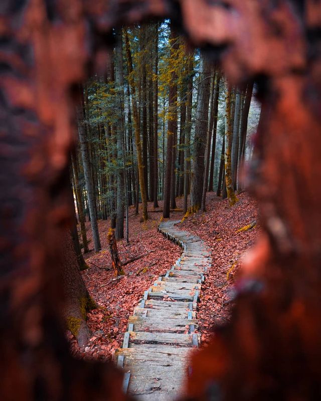 Подорож Швейцарією у різні пори року: захопливі фото - фото 343406