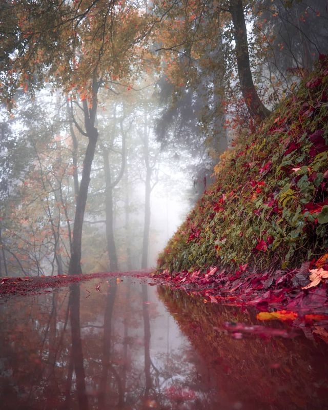 Подорож Швейцарією у різні пори року: захопливі фото - фото 343407