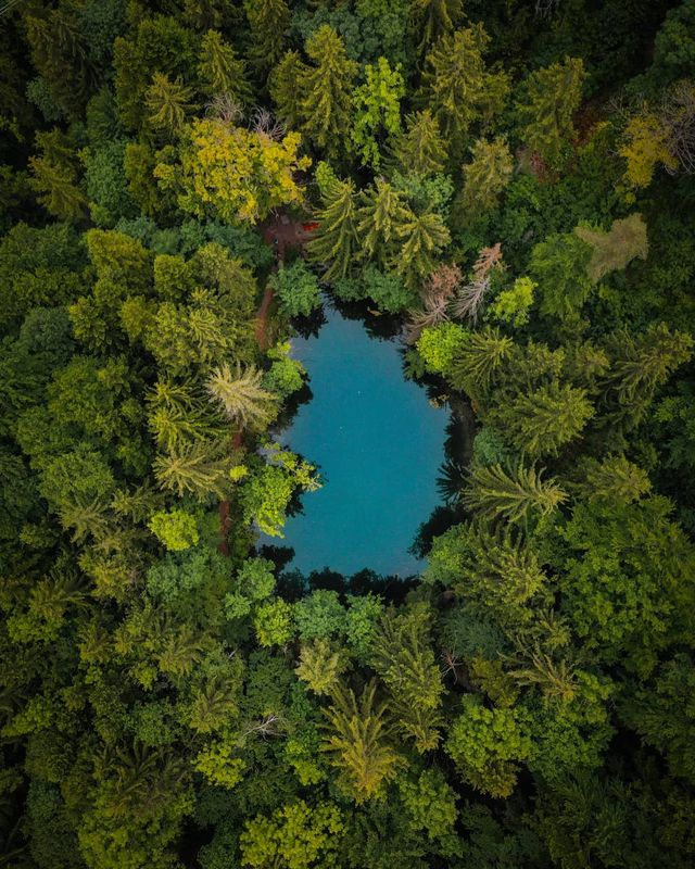 Подорож Швейцарією у різні пори року: захопливі фото - фото 343408