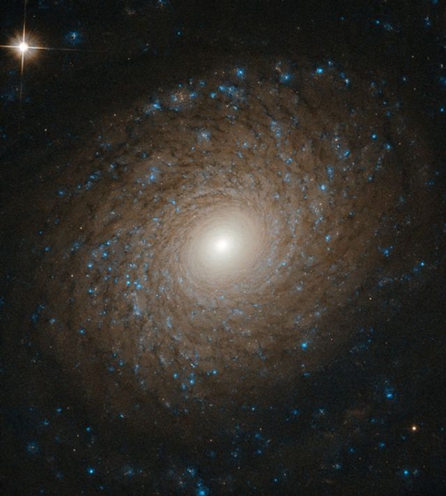 Галактика NGC 2985 - фото 343579