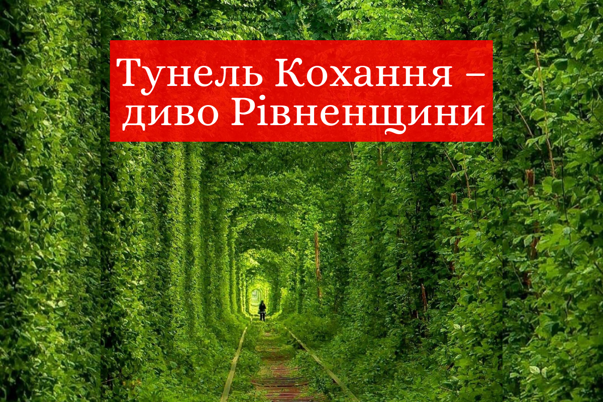 Тунель Кохання на Рівненщині: чим вражає зелене диво України і як туди доїхати