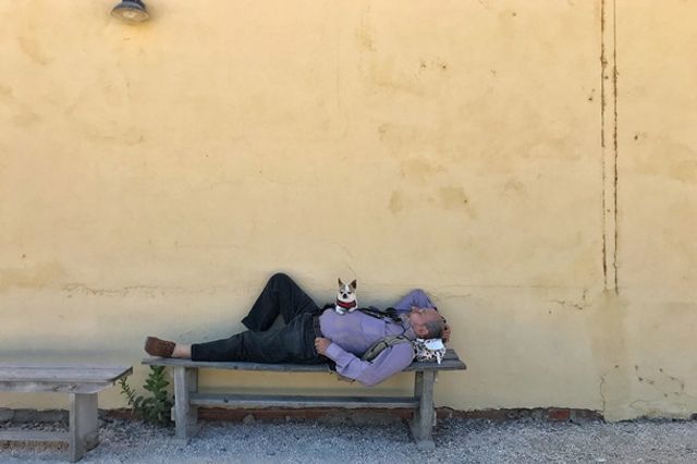 Apple показала найкращі знімки, зроблені на iPhone - фото 343623