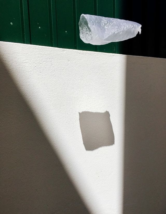 Apple показала найкращі знімки, зроблені на iPhone - фото 343627