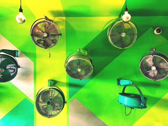 Apple показала найкращі знімки, зроблені на iPhone - фото 343628