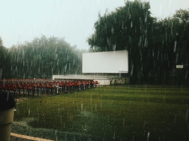 Apple показала найкращі знімки, зроблені на iPhone - фото 343629