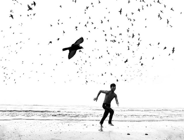 Apple показала найкращі знімки, зроблені на iPhone - фото 343631