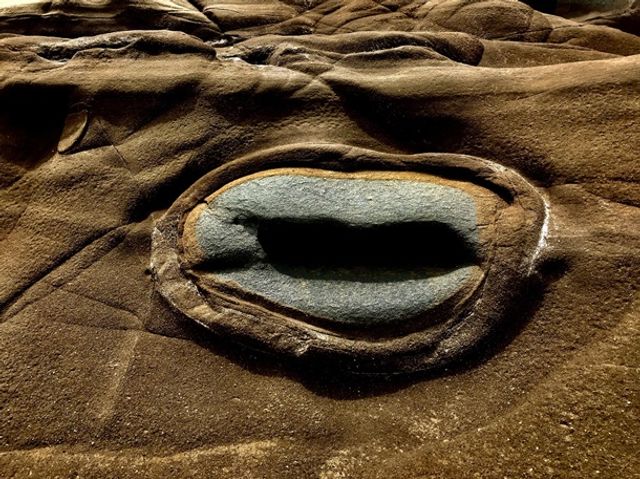 Apple показала найкращі знімки, зроблені на iPhone - фото 343633