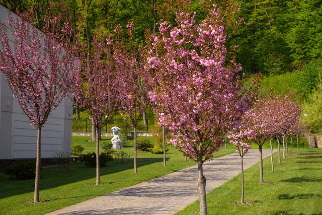 Деренівська Купіль - фото 343675